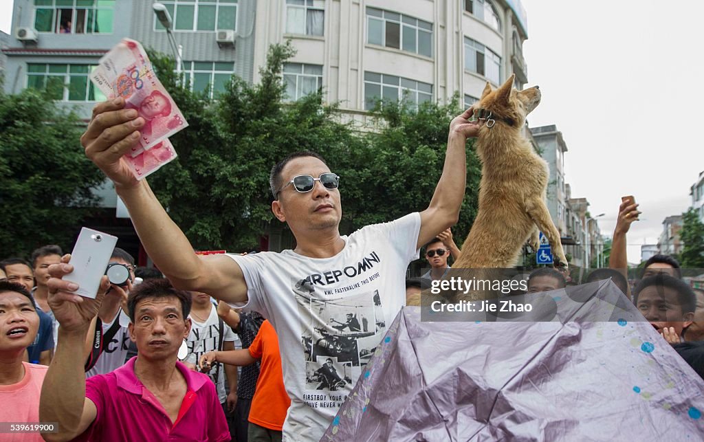 Dog Meat Festival in China