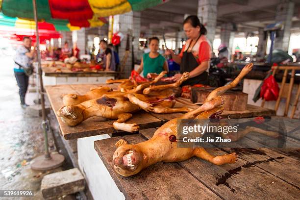 Dog bodies are put on the desk for sales at a free market ahead the Yulin Dog Eating Festival in Yulin city, south China's Guangxi Zhuang Autonomous...