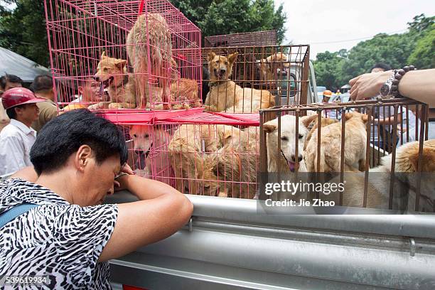 An femle activist protests and try their best to rescue dogs are caged at a free market ahead of the Yulin Dog Eating Festival in Yulin city, south...