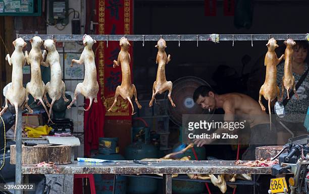 Dog bodies are put on the desk for sales at a free market ahead the Yulin Dog Eating Festival in Yulin city, south China's Guangxi Zhuang Autonomous...