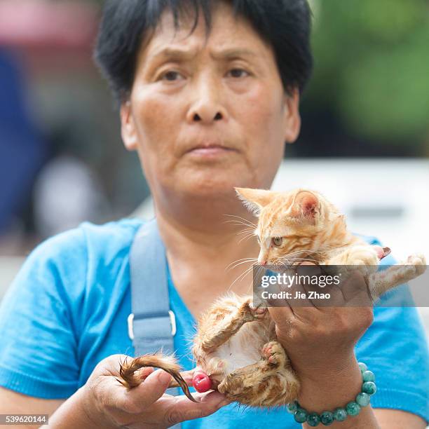 Activists try their best to rescue a cat at a free market ahead of the Yulin Dog Eating Festival in Yulin city, south China's Guangxi Zhuang...