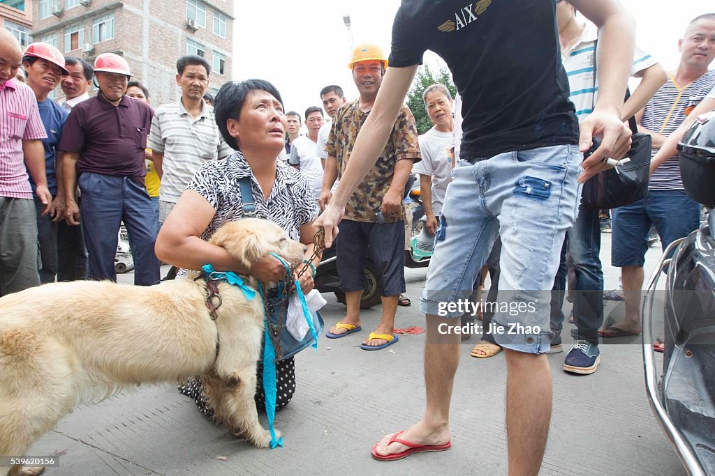 Dog Meat Festival in China