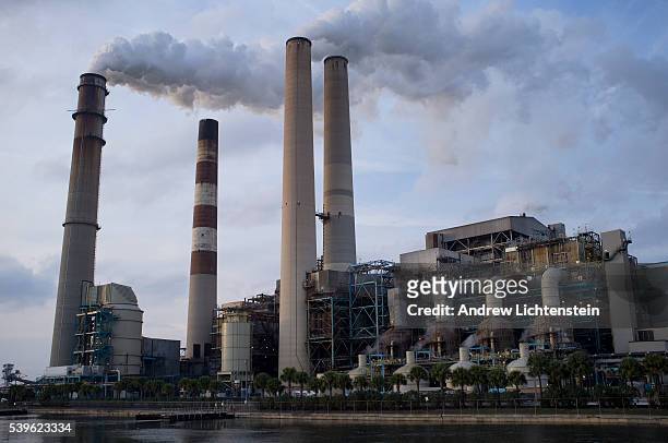 The Big Bend coal fired power plant is located on Florida's West Coast, south of Tampa. During the winter months, Manatees gather in the water below...