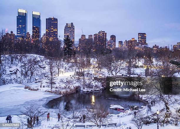 snowy central park pond - new york - new york city snow stock pictures, royalty-free photos & images