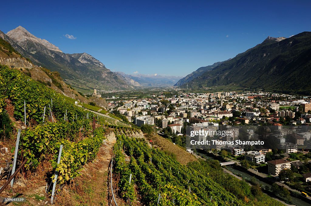 The Town Of Martigny Surrounded By Vineyards Martigny Canton Of Valais the-town-of-martigny-surrounded-by-vineyards-martigny-canton-of-valais