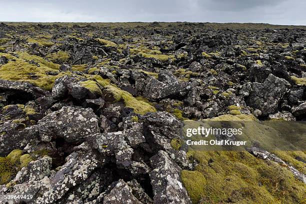Elongate Rocks Elongatum Photos and Premium High Res Pictures - Getty Images