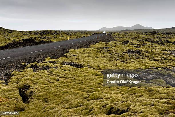 Elongate Rocks Elongatum Photos and Premium High Res Pictures - Getty Images
