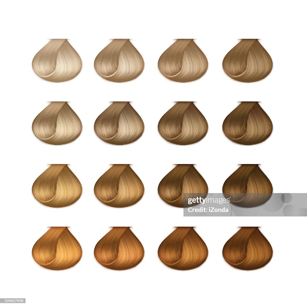 Hair Color Graphics Vector Hair Color Palette Isolated On White Background High-Res Vector ...