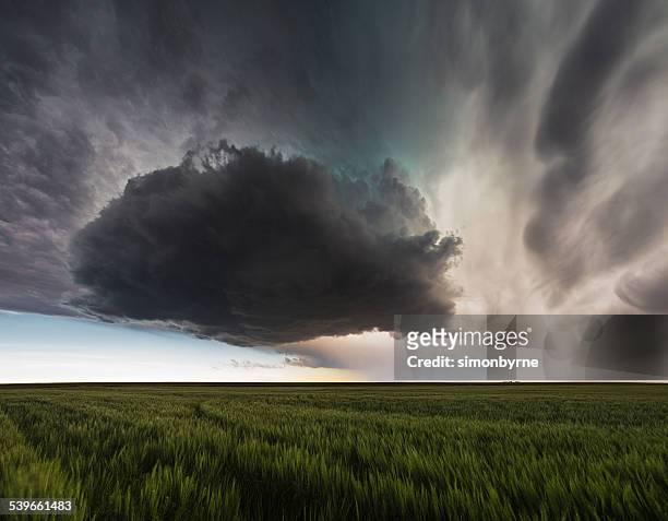 usa, nebraska, view of supercell cloud over field - horizon over land stock pictures, royalty-free photos & images