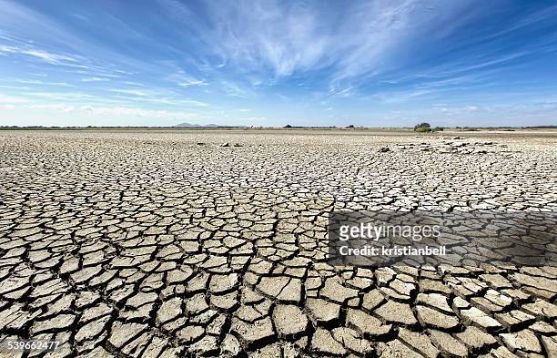 australia, victoria, barren plain with parched soil - öde landschaft stock-fotos und bilder