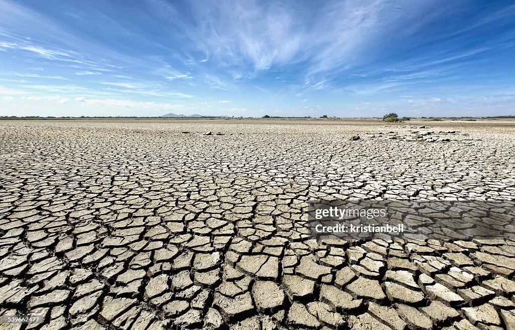 Australia, Victoria, Barren plain with parched soil