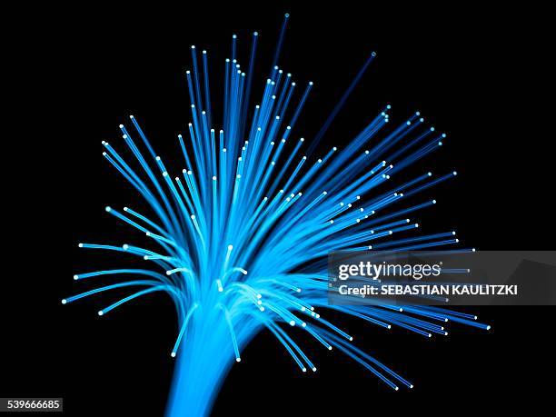 fibre optics, illustration - glasfaser stock-grafiken, -clipart, -cartoons und -symbole