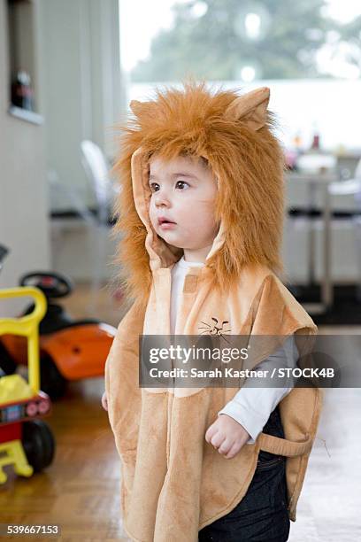 toddler in lion costume - lion costume stock pictures, royalty-free photos & images