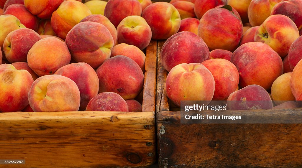USA, New York State, New York City, Peaches in crates