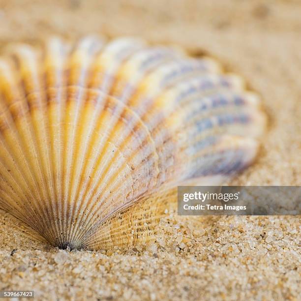 2,094 One Shell Square Stock Photos, High-Res Pictures, and Images ...