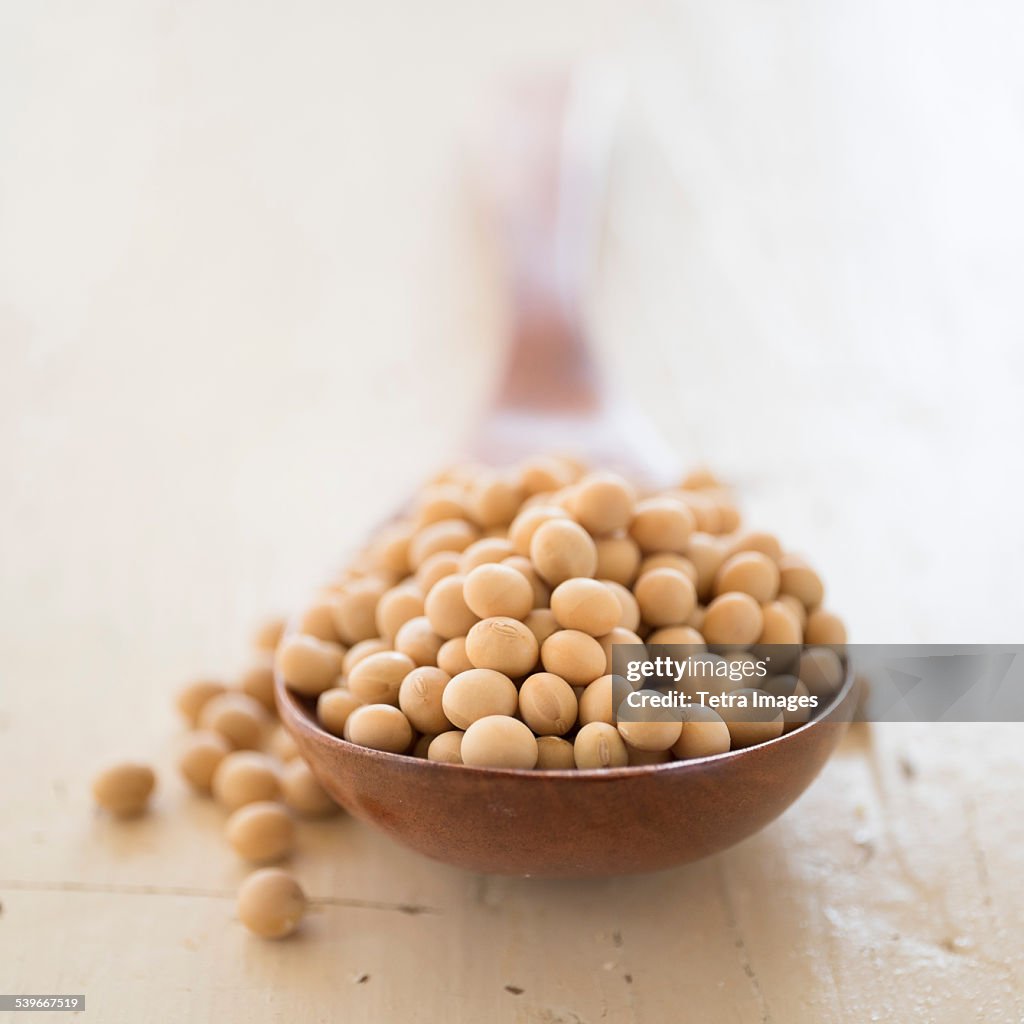 Studio shot of soy beans