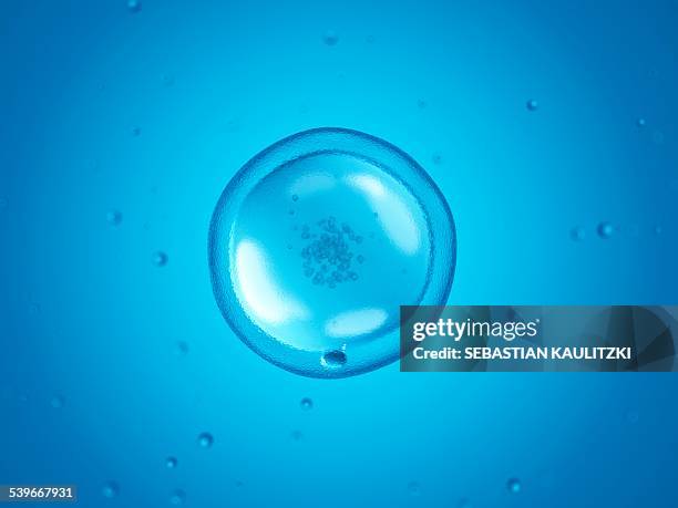 human cell, illustration - cells biology stock illustrations