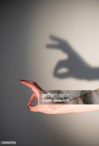 shadow rabbit - hand puppet stock-fotos und bilder