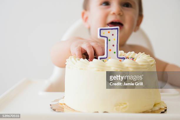 studio shot of baby (12-17 months) reaching for cake - einjährig stock-fotos und bilder