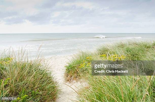 usa, massachusetts, nantucket, sandy beach overgrown with marram grass - massachusetts beach stock pictures, royalty-free photos & images