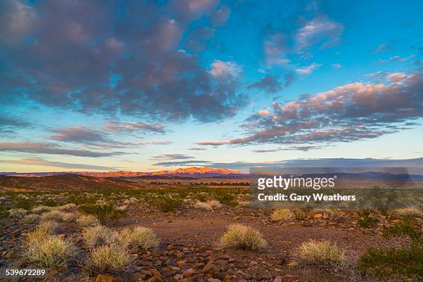 usa, nevada, landscape with desert and moody sky - nevada foto e immagini stock