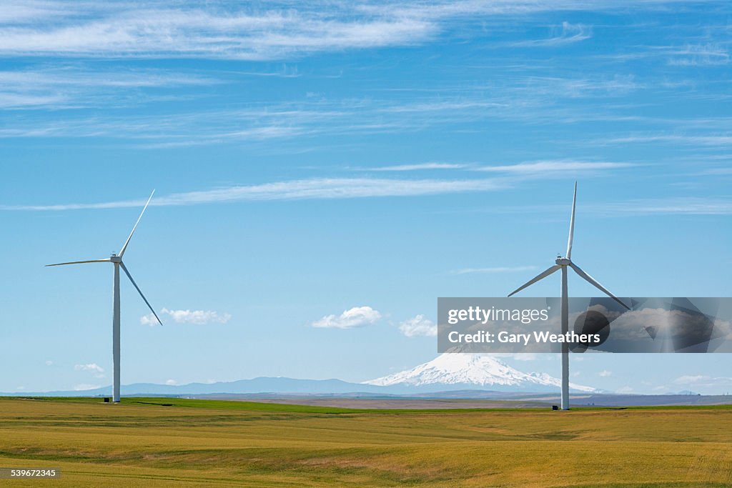 USA, Oregon, Wind turbines at green field with mountain on background