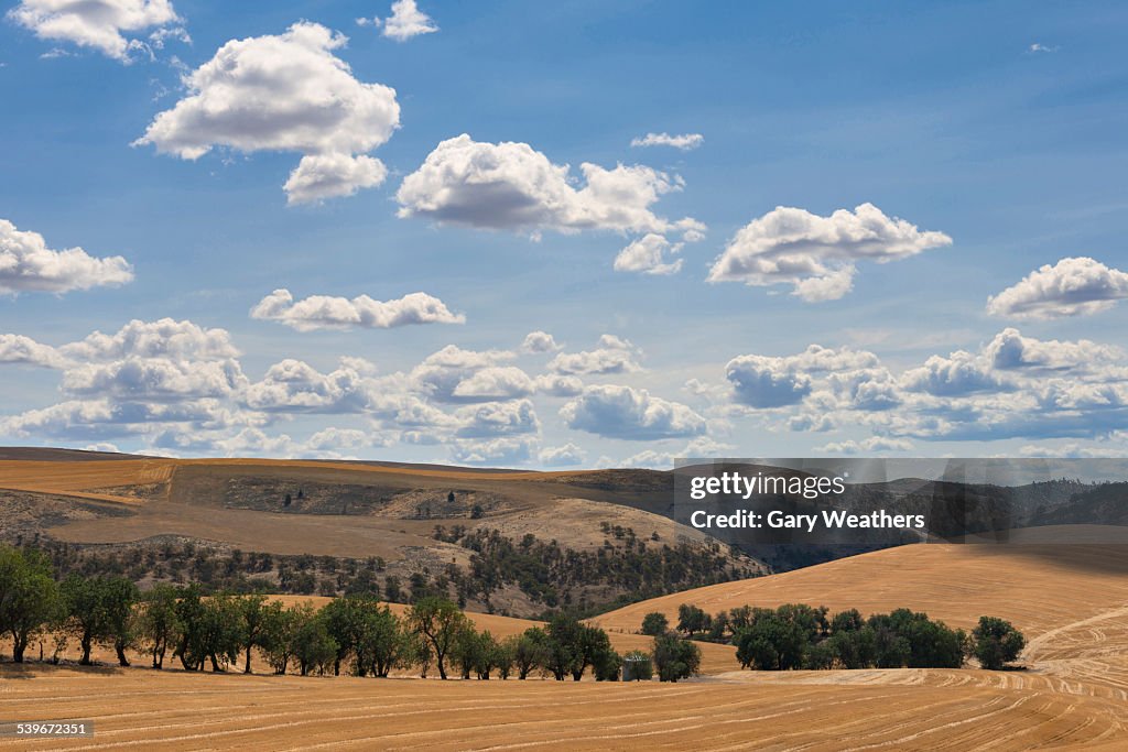 USA, Oregon, Rolling landscape with cloudy sky