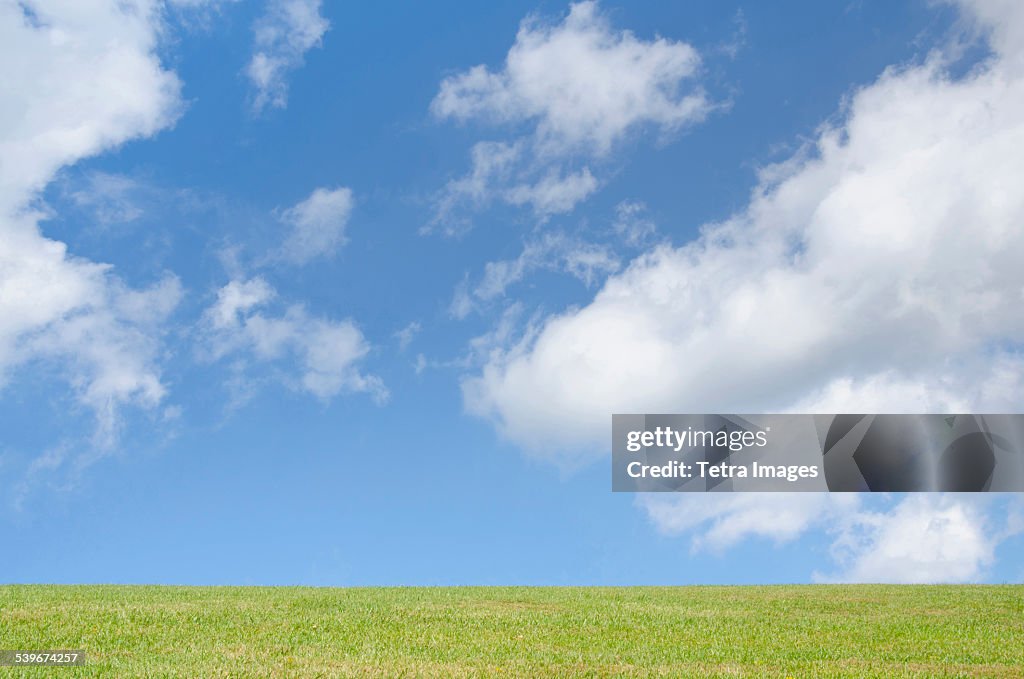 USA, New Jersey, View of rural landscape