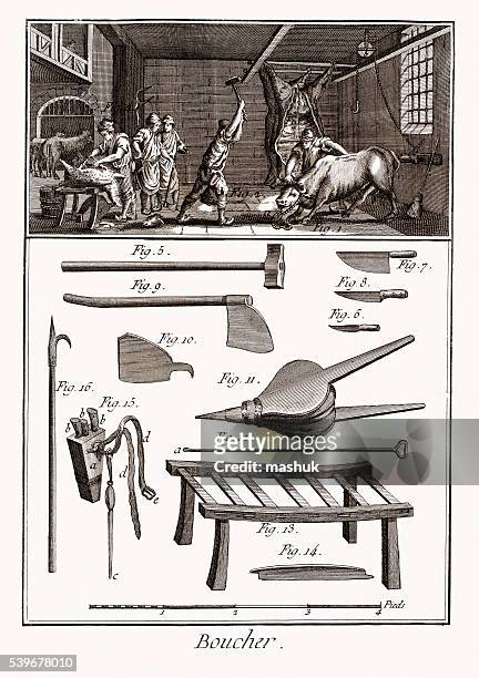 butchery instruments from diderot encyclopedia - denis diderot stock illustrations