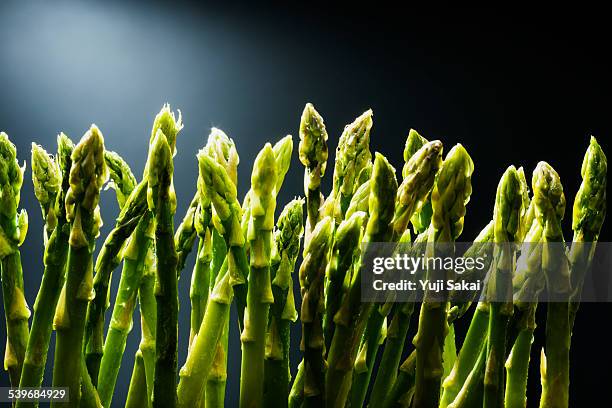 asparagus close up - asparagus stock pictures, royalty-free photos & images