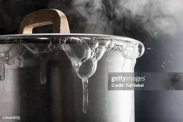 steam bubble close up - ollas-y-cacerolas fotografías e imágenes de stock