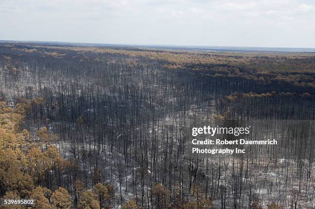 Aerials of fire damage in Bastrop County, TX where wildfires last week claimed 38,000 acres and over 1,500 homes with two deaths reported. The trees...