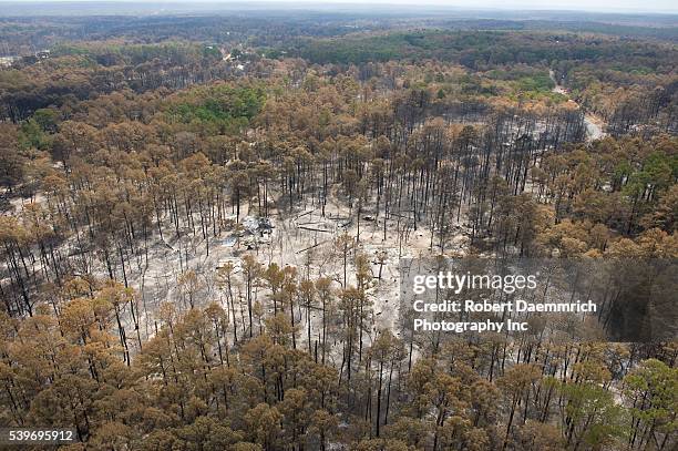 Damage to the forest and houses in the Tahitian Village subdivision of Bastrop County, TX where wildfires last week claimed 38,000 acres and over...