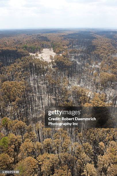 Damage to the forest and houses in the Tahitian Village subdivision of Bastrop County, TX where wildfires last week claimed 38,000 acres and over...