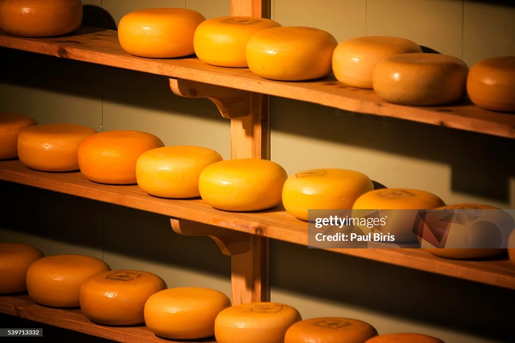 Yellow Rind Cheese Rows Of Yellow Rind Dutch Cheese Gouda Alkmaar Netherlands High-Res ...