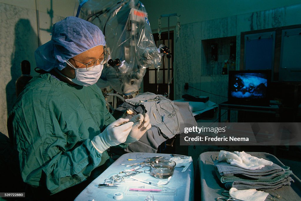 The Bionic Eye