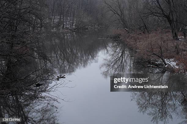 The Bronx River flows through the zoo's property, and the heart of the urban, industrial South Bronx. The winter is a special time to visit the Bronx...