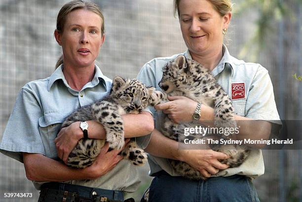 Taronga Zoo welcomes 2 snow leopard cubs, that were born in the zoo's breeding program. They are pictured with their keepers, Louise Ginman on the...