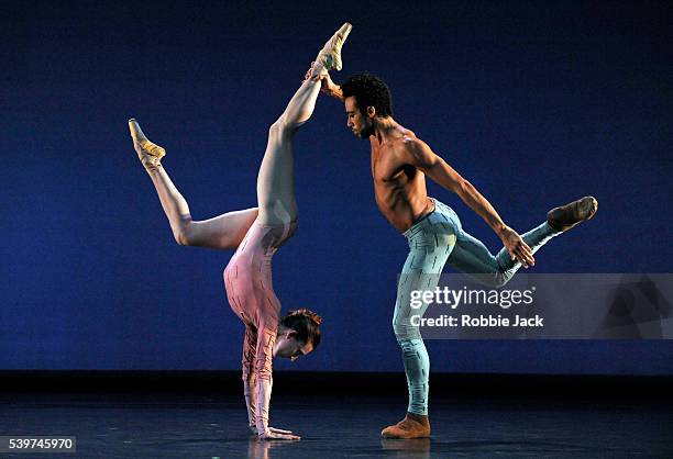 221 Morphoses Stock Photos, High-Res Pictures, and Images - Getty Images