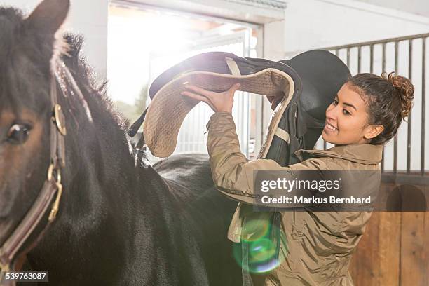 young woman getting horse ready. - saddle stock pictures, royalty-free photos & images