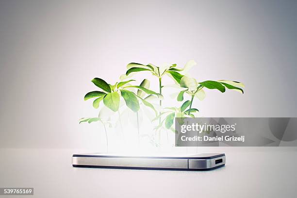 smart phone - plant cell stockfoto's en -beelden