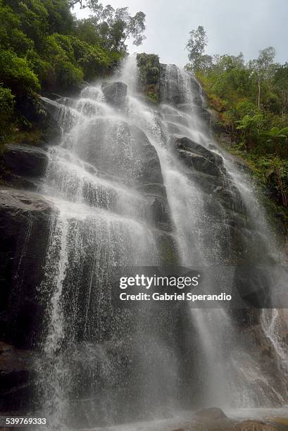 cachoeira veu da noiva - noiva bildbanksfoton och bilder