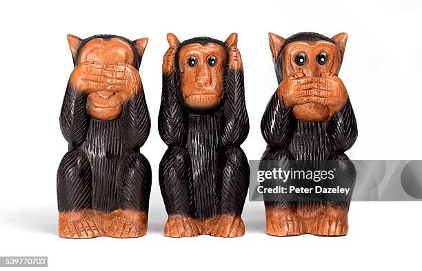 see no evil, hear no evil and speak no evil monkey - hear no evil stock pictures, royalty-free photos & images