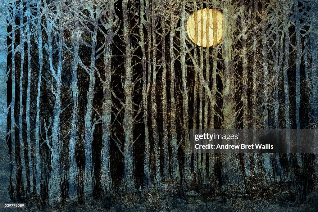 Full moon caged behind dense forest trees