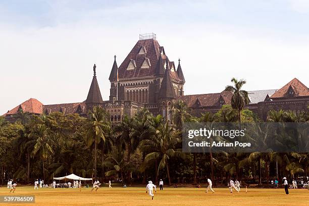 cricket match in oval maidan, mumbai - sports india stock pictures, royalty-free photos & images