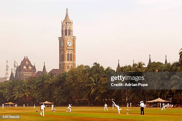 cricket match in oval maidan, mumbai - mumbai stock pictures, royalty-free photos & images