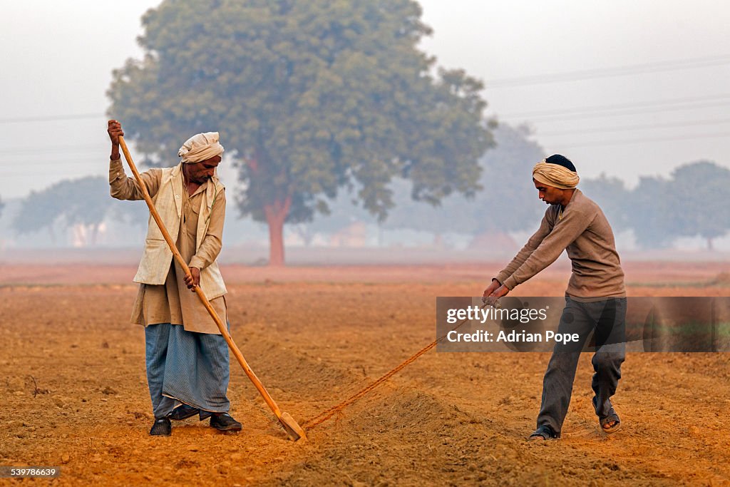 Farmer hoeing field with son