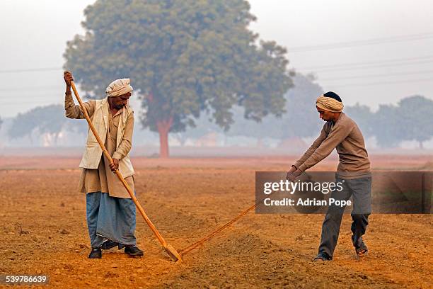 farmer hoeing field with son - ho stock pictures, royalty-free photos & images