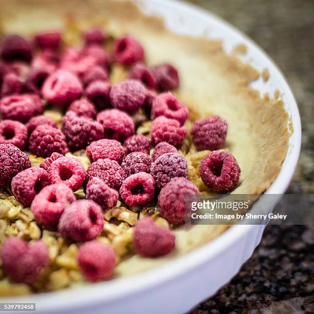 raspberry walnut tart -- before - flan tart stockfoto's en -beelden