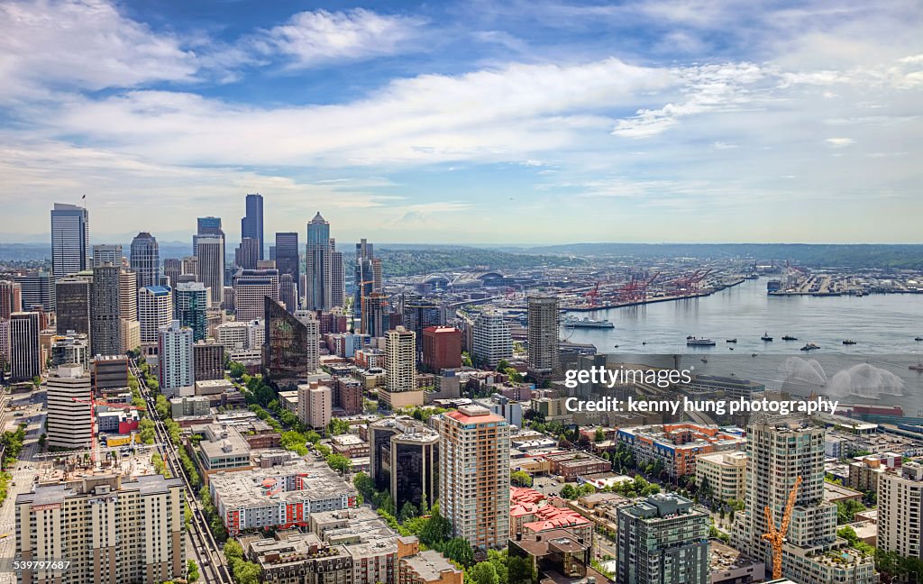 Flourishing view of Seattle